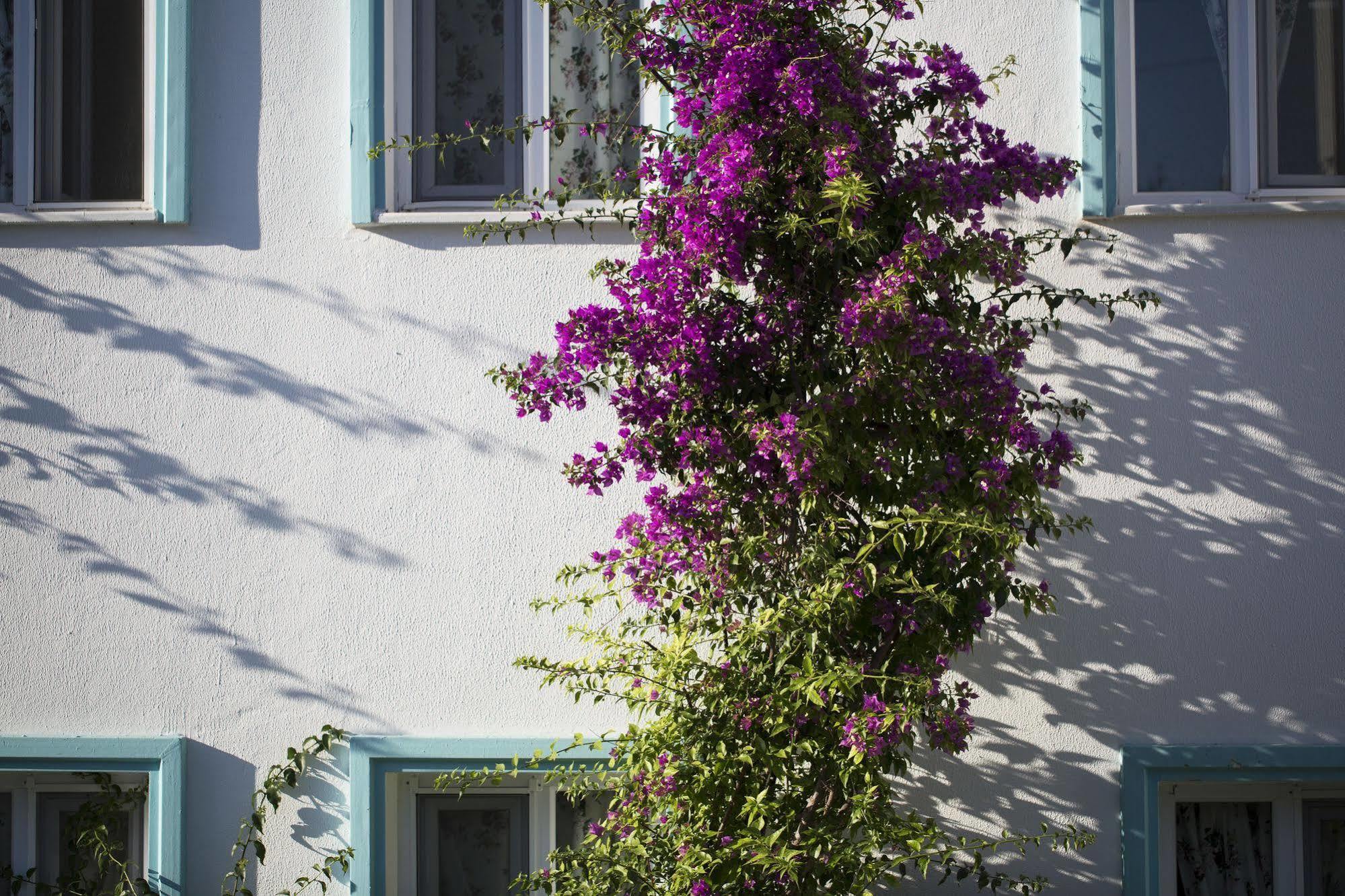 Istanbul Hotel Bodrum Türkbükü Eksteriør bilde